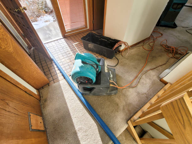 Best Water damage cleanup near me  in Rio Vista, TX