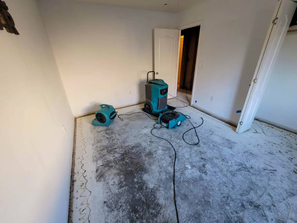 Best Flood restoration services  in Rio Vista, TX