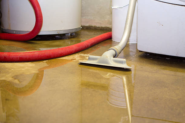Best Flooded house restoration  in Rio Vista, TX