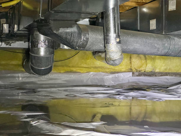 Best Water damage cleanup near me  in Rio Vista, TX